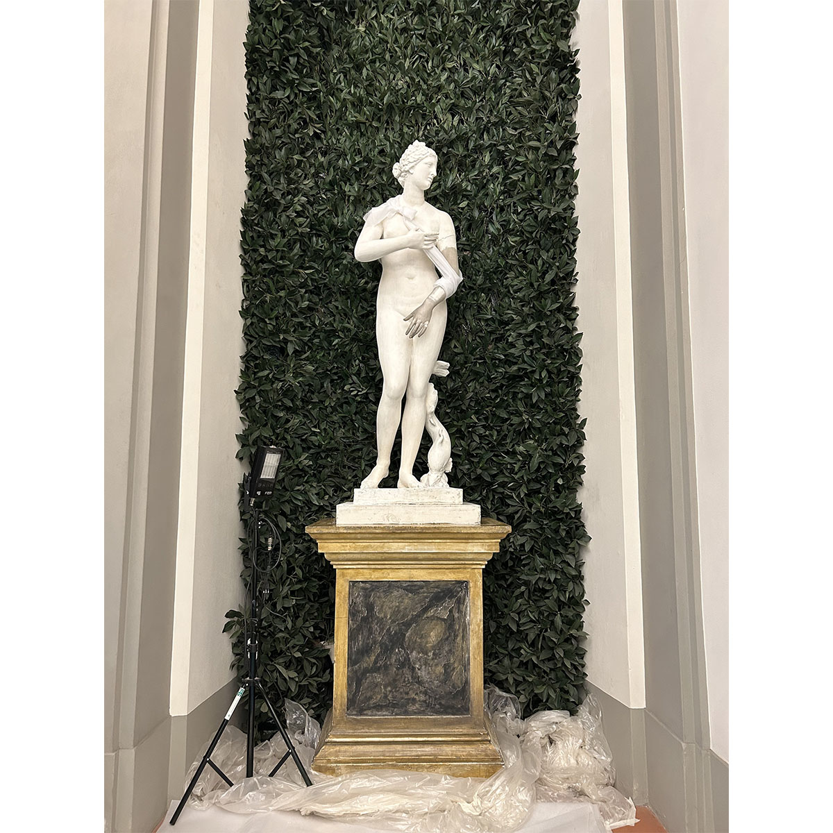 Scultura gesso